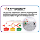 Custom Bridgestone e12 HiLaunch Mindset 2026
