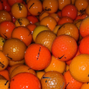 Nike Orange Collectors Mix