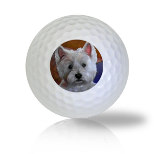Weste Accents Golf Balls Used Golf Balls - Foundgolfballs.com