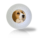 Beagle Golf Balls - Found Golf Balls