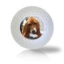 Basset Hound Golf Balls - Found Golf Balls