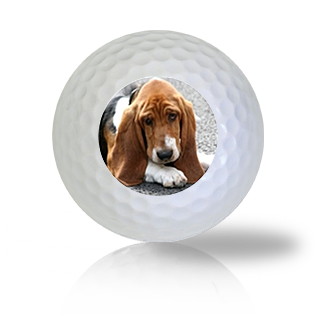Basset Hound Golf Balls - Found Golf Balls