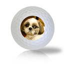 Shih Tzu Golf Balls - Found Golf Balls