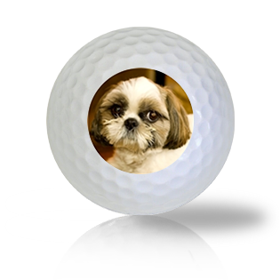 Shih Tzu Golf Balls - Found Golf Balls