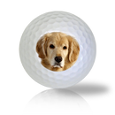 Golden Retriever Golf Balls - Found Golf Balls