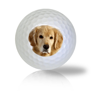 Golden Retriever Golf Balls - Found Golf Balls