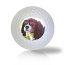 King Charles Spaniel Golf Balls - Found Golf Balls