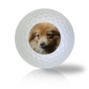 Pomeranian Golf Balls - Found Golf Balls