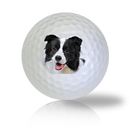 Border Collie Golf Balls Used Golf Balls - Foundgolfballs.com