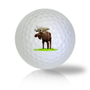 Moose Golf Balls - Found Golf Balls