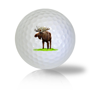 Moose Golf Balls - Found Golf Balls