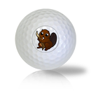 Beaver Golf Balls - Found Golf Balls