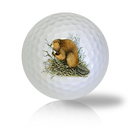 Beaver Golf Balls - Found Golf Balls