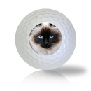 Birman Cat Golf Balls - Found Golf Balls