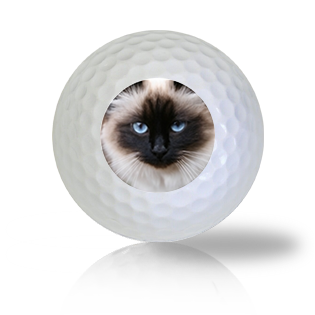 Birman Cat Golf Balls - Found Golf Balls
