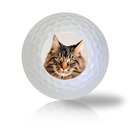 Maine Coon Cat Golf Balls - Found Golf Balls