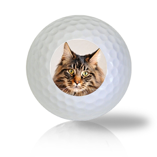 Maine Coon Cat Golf Balls - Found Golf Balls