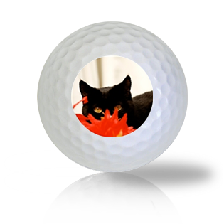 Ninja Cat Golf Balls - Found Golf Balls