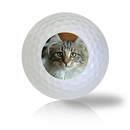 Norwegian Forest Cat Golf Balls - Found Golf Balls