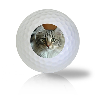 Norwegian Forest Cat Golf Balls - Found Golf Balls