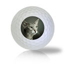 Oriental Cat Golf Balls - Found Golf Balls