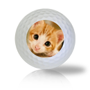 Cat Golf Balls - Found Golf Balls