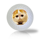 Cat Golf Balls - Found Golf Balls