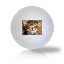 Cat Golf Balls - Found Golf Balls
