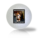 Cat Golf Balls - Found Golf Balls