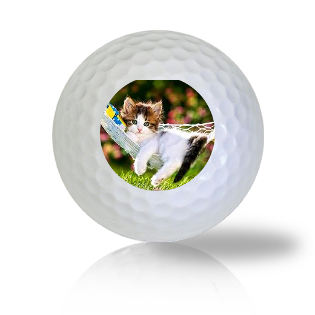 Cat Golf Balls - Found Golf Balls