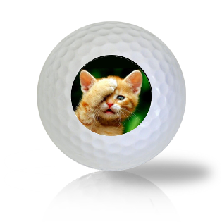 Cat Golf Balls - Found Golf Balls