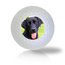 Black Lab Golf Balls - Found Golf Balls