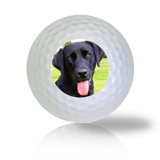 Black Lab Golf Balls - Found Golf Balls