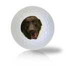 Chocolate Lab Golf Balls - Found Golf Balls
