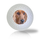 Cocker Spaniel Golf Balls - Found Golf Balls