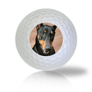 Doberman Golf Balls - Found Golf Balls