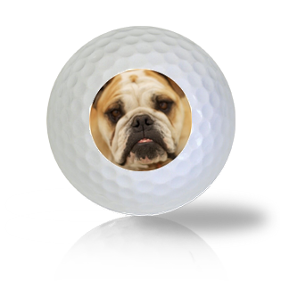 English Bulldog Golf Balls - Found Golf Balls