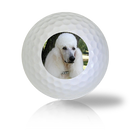 French Poodle Golf Balls - Found Golf Balls