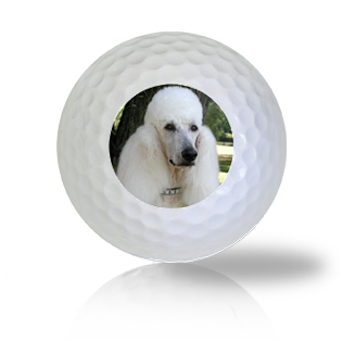 French Poodle Golf Balls - Found Golf Balls