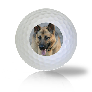German Shepard Golf Balls - Found Golf Balls