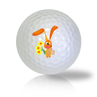 Friendly Bunny with Flowers Golf Balls Used Golf Balls - Foundgolfballs.com